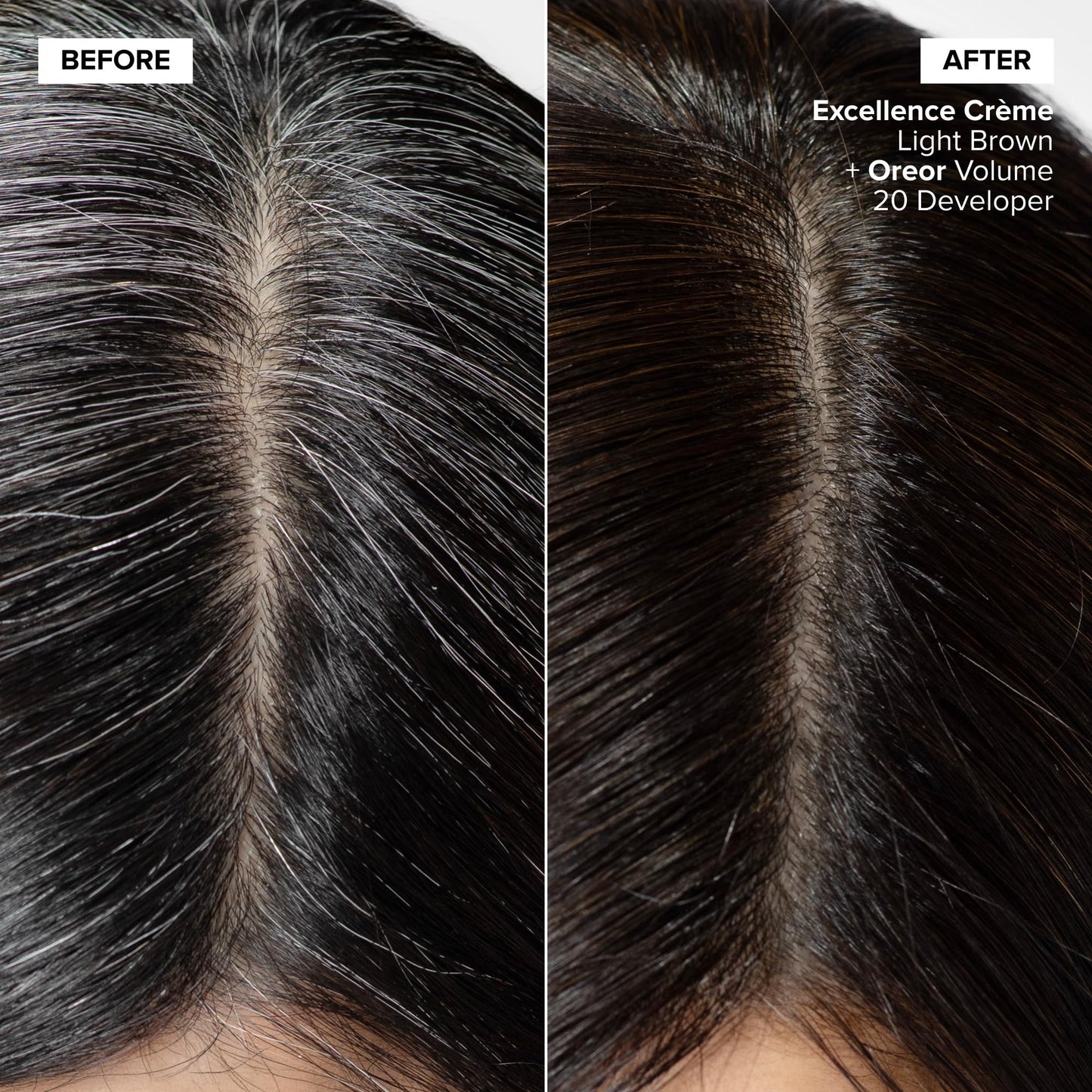 L'Oréal Technique Excellence Crème Permanent Hair Color - Long-Lasting Hair Dye, Rich Formula With No-Drip Application, Superb Gray Coverage, Extra Ash Blond