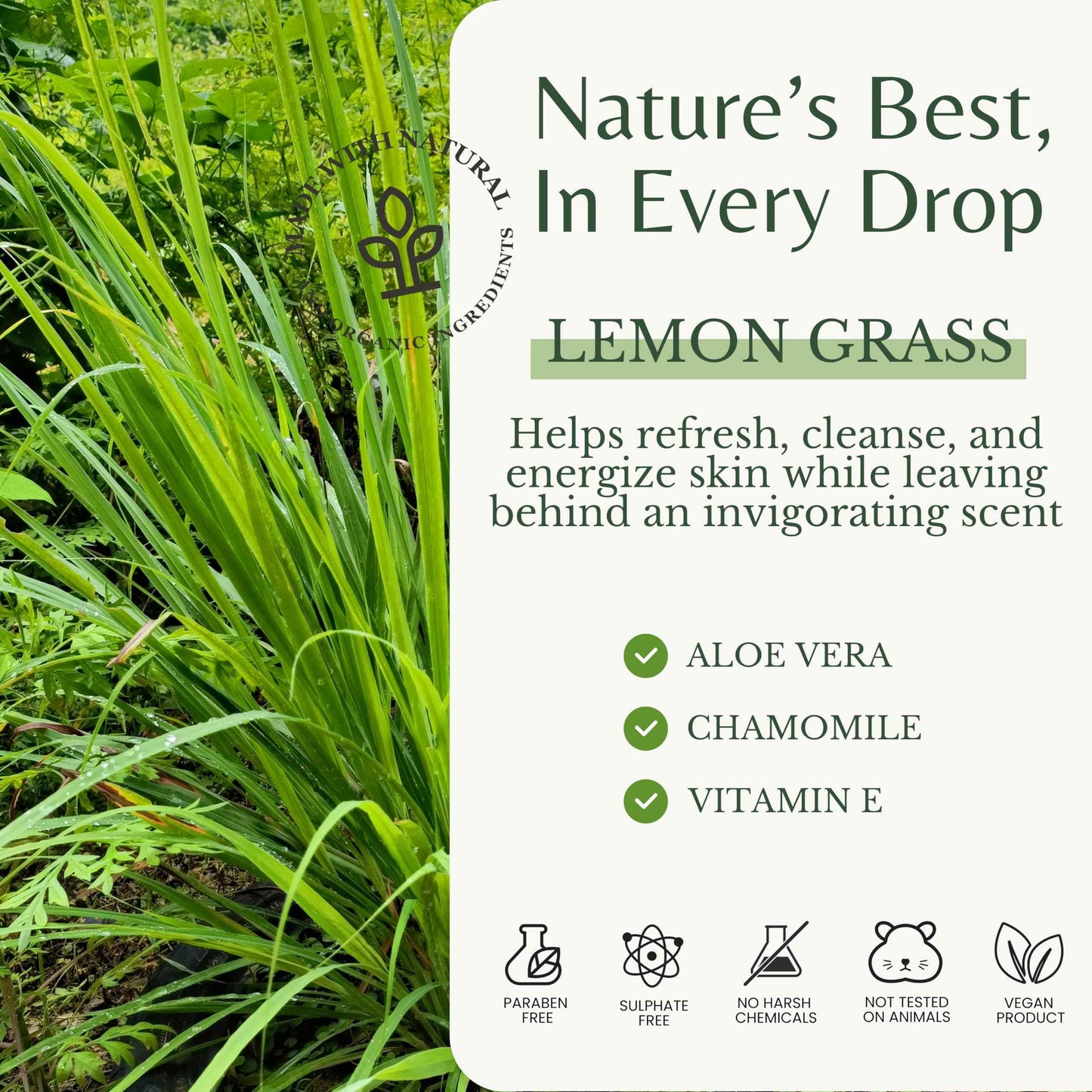 EDENIKA BOTANICALS Lemongrass Body Wash with Vitamin E, Cleanses, Refreshes & Invigorates, Shower Gel for Dry and Sensitive Skin, Women & Men, Organic & Natural, 16 fl oz, 2-Pack