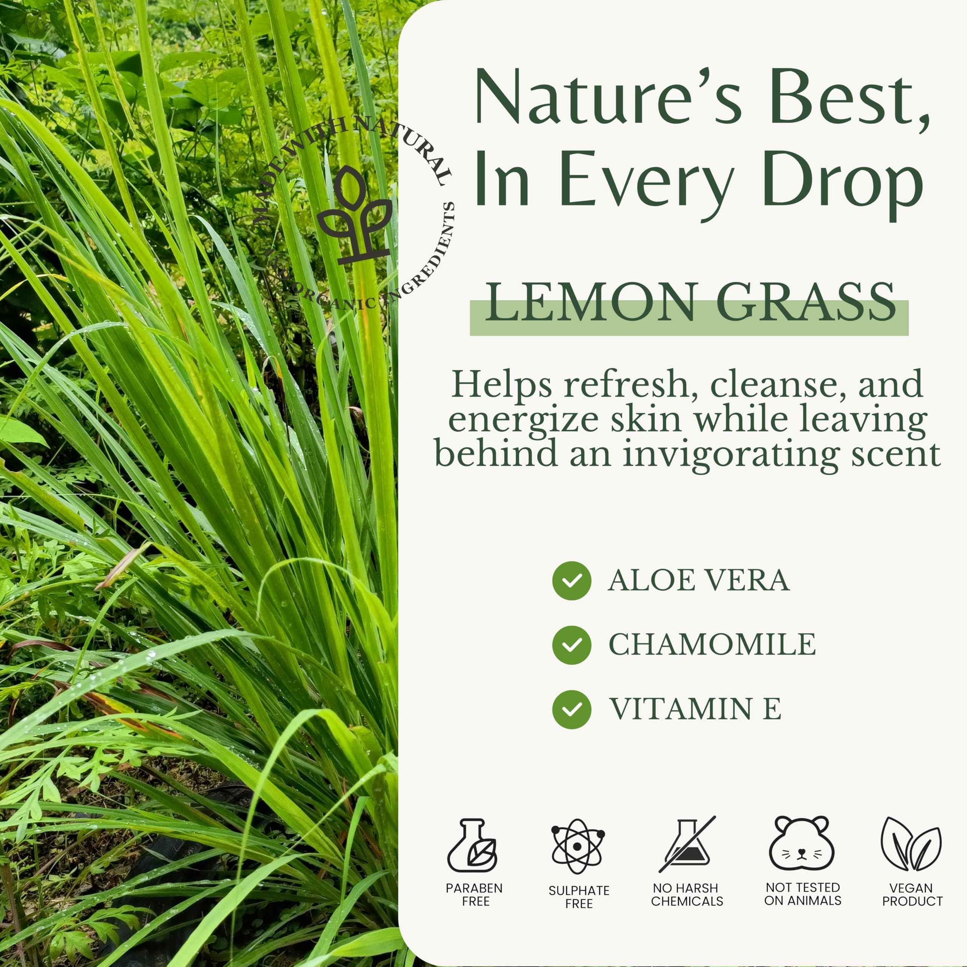 EDENIKA BOTANICALS Lemongrass Body Wash with Vitamin E, Cleanses, Refreshes & Invigorates, Shower Gel for Dry and Sensitive Skin, Women & Men, Organic & Natural, 16 fl oz, 2-Pack