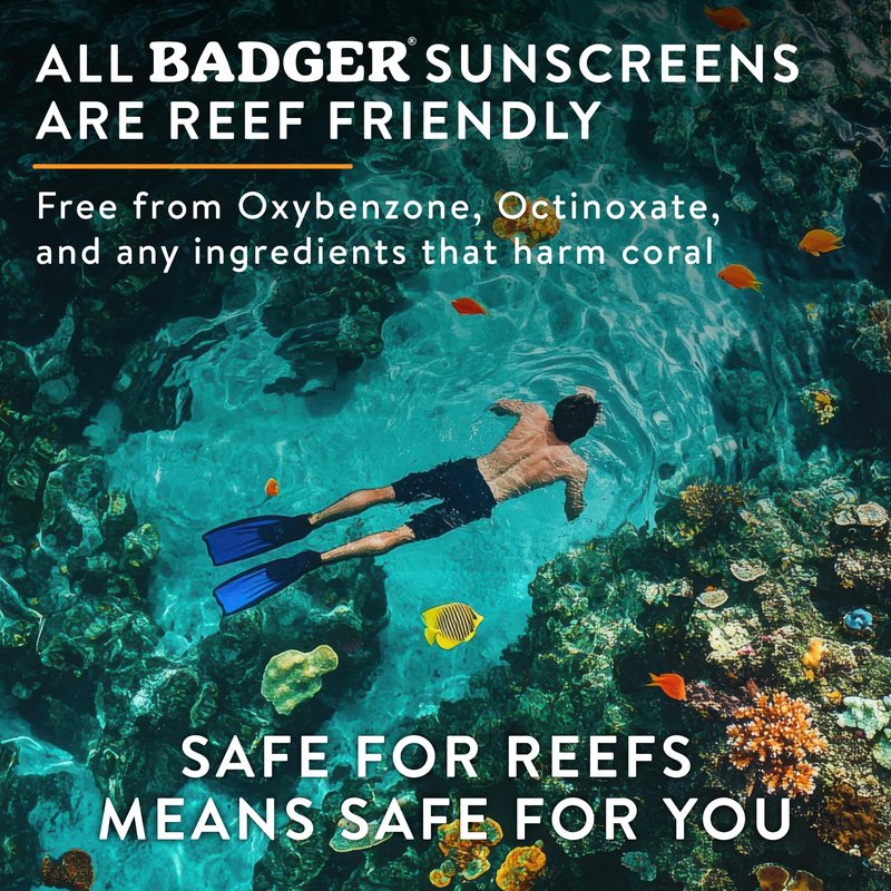 Badger Mineral Sunscreen Lip Balm SPF 15, Reef Safe, Zinc Oxide, Unscented, Travel Size, SPF Lip Balm Sunscreen Stick, .15 oz 4-Pack