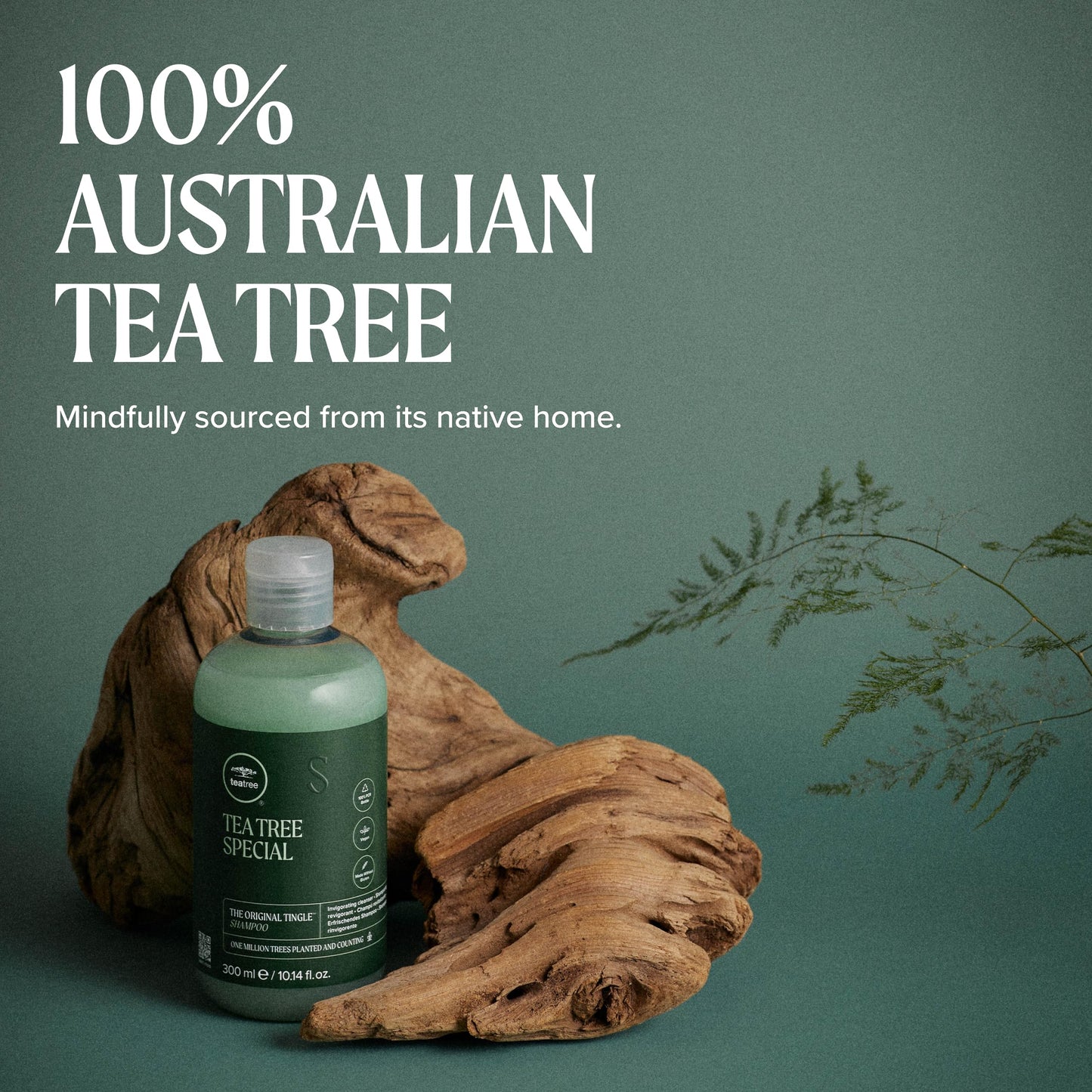 Tea Tree Special Shampoo, Deep Cleans, Refreshes Scalp, For All Hair Types, Especially Oily Hair, 16.9 fl. oz.
