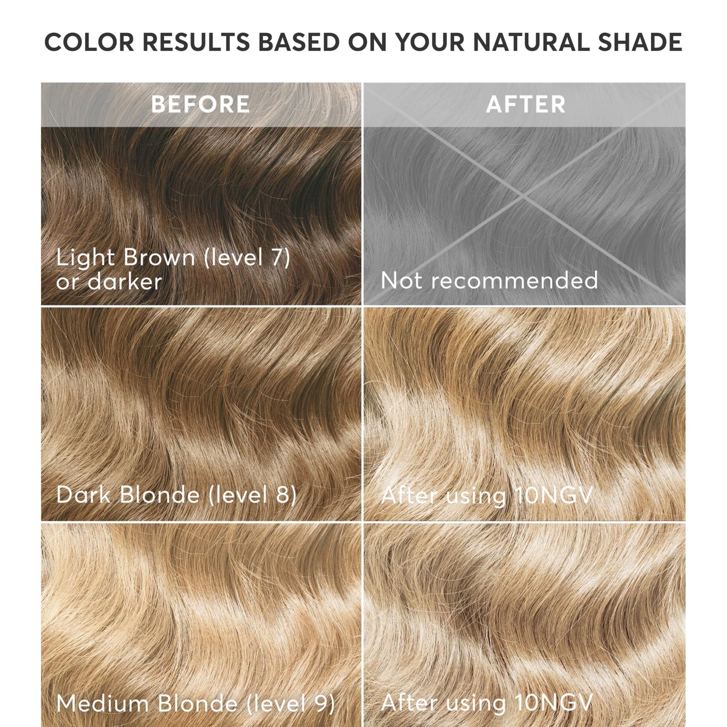 Madison Reed Radiant Hair Color Kit Plus for Long & Thick Hair – Ammonia-Free Permanent Hair Dye with Keratin, Argan Oil & Ginseng Root – 100% Gray Coverage, Salon-Quality Color at Home