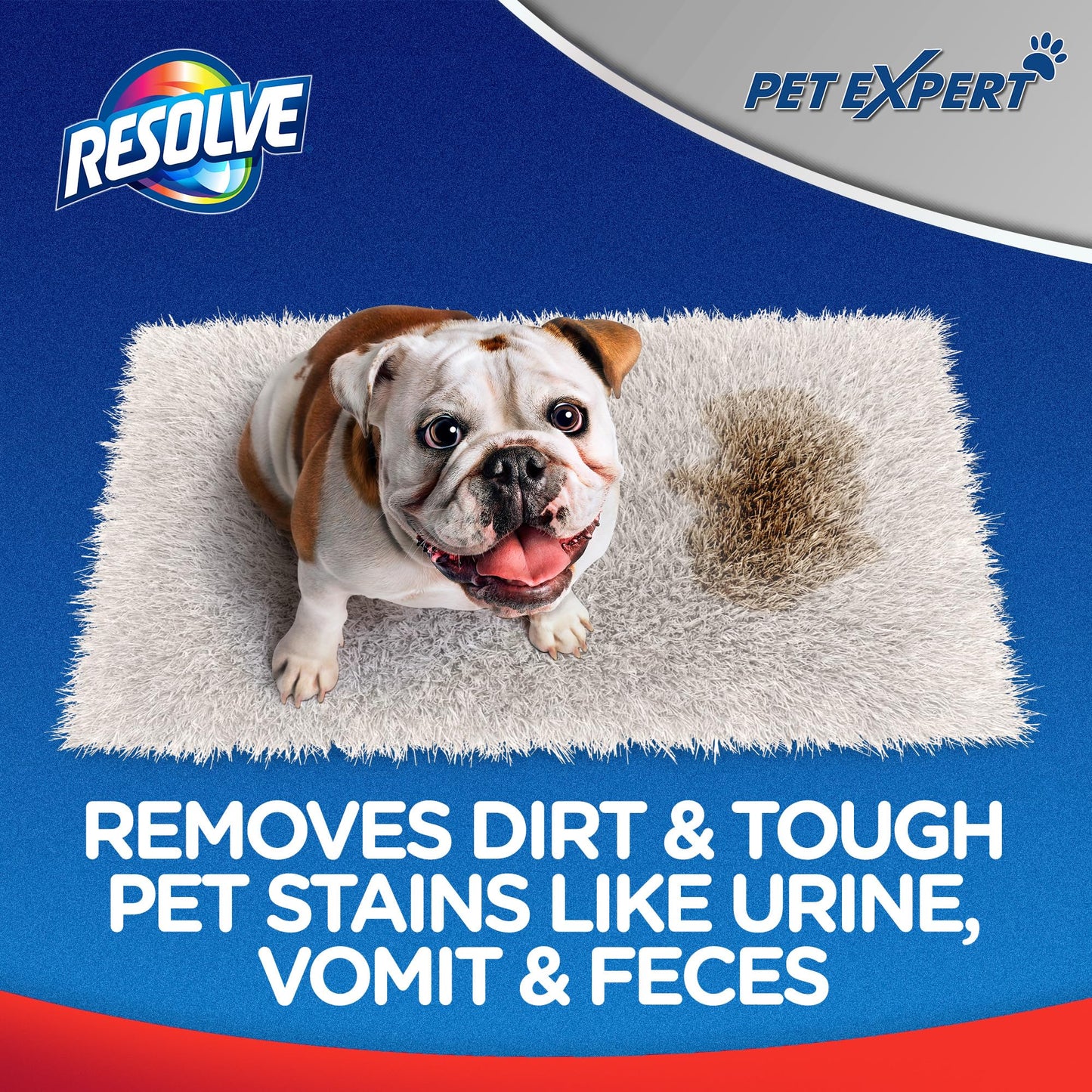 Resolve Pet Expert Stain and Odor Remover, Carpet Cleaner, Pet Stain and Odor Remover, Carpet & Upholstery Cleaner - Removes Stains and Odors, 22 oz (pack of 1)