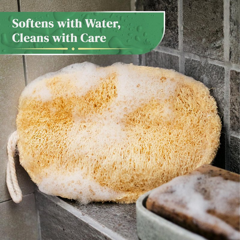 Natural Loofah Exfoliating Sponge (4 Pack) - Organic Loofah for Body - Biodegradable Shower Luffa - Natural Bath Sponges Loufa - Estropajos para el Cuerpo