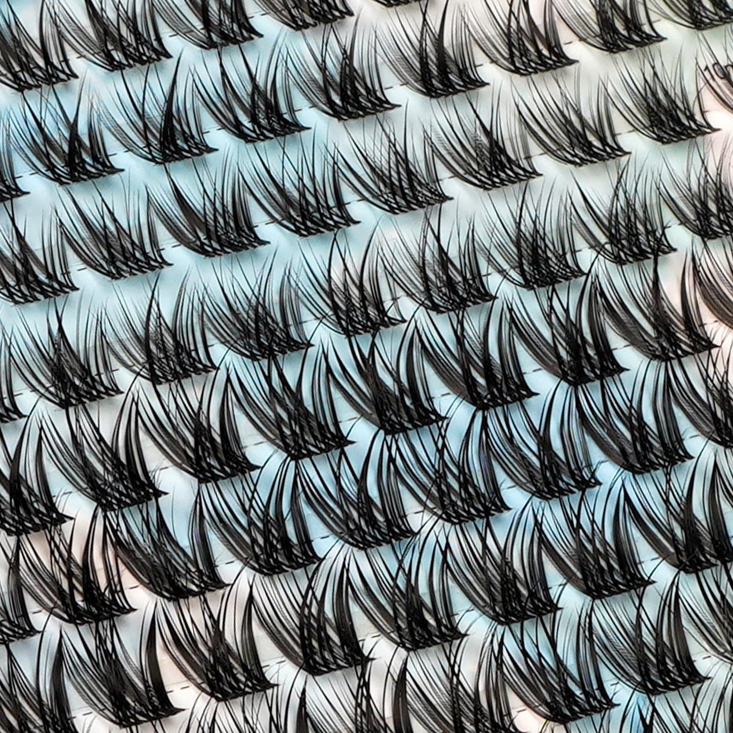DIWINSH Lash Clusters Wispy Eyelash Clusters 144pcs 10-12mm Short Cluster Eyelash Extensions D Curl Natural Volume Lash Extensions Reusable Individual Lashes with Soft Thin Invisible Band (MQ-10-12mm)