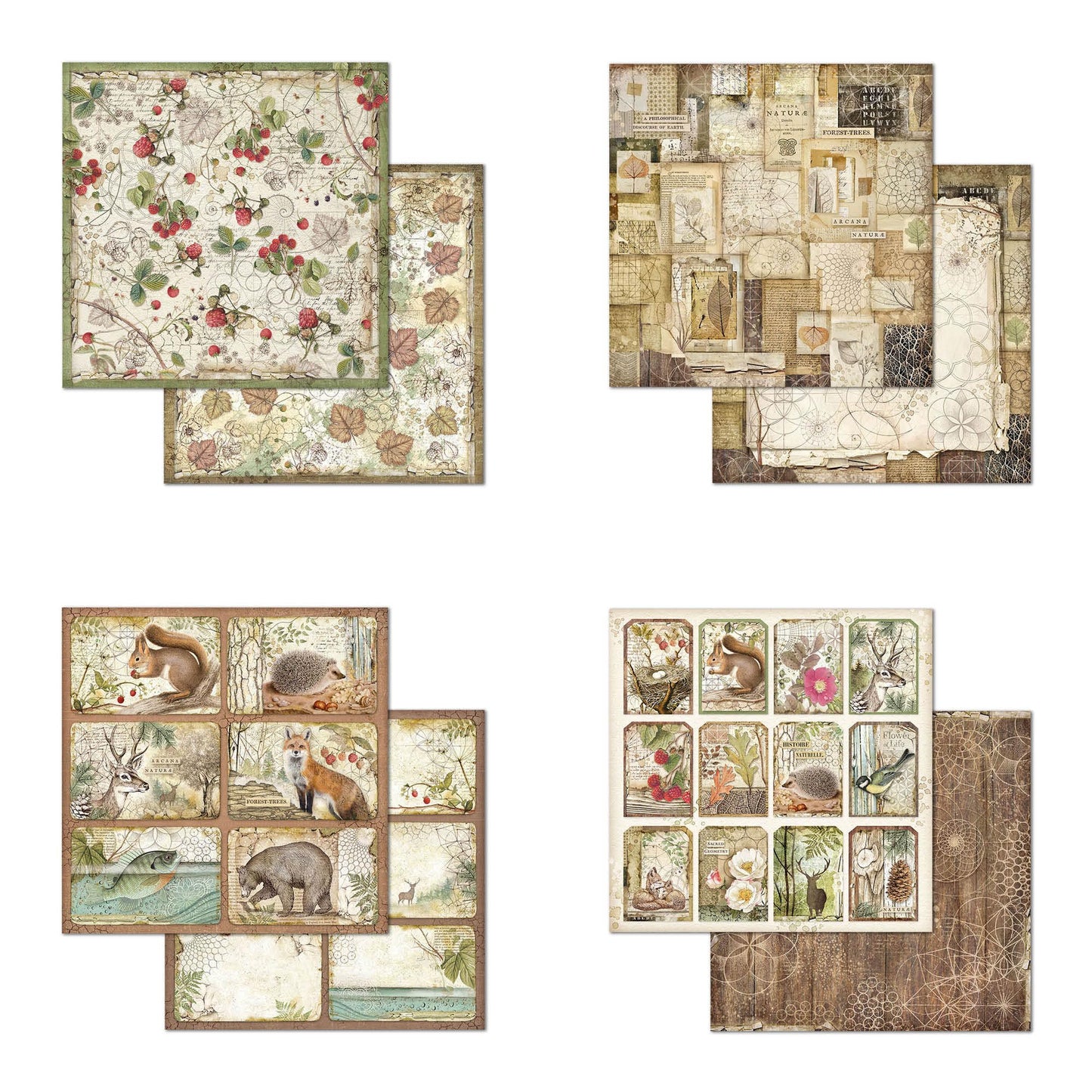 STAMPERIA INTERNATIONAL, KFT PAPER PAD 8X8 10PK FOREST, 20.3 x 20.3 (8" x 8"), Multicoloured