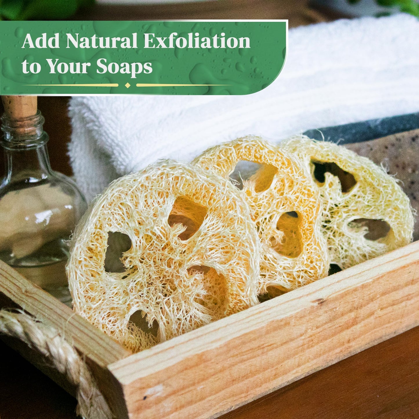 Natural Loofah Slices for Soap Making (20 Pack) - Organic Loufa Cuts - Bulk Luffa - Soap Making Supplies