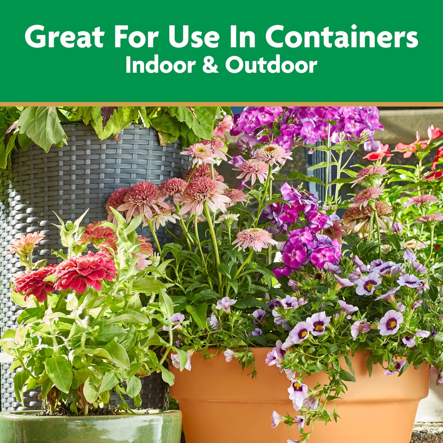 Miracle-Gro Pour & Feed Plant Food, Fertilizer Instantly Feeds Live Plants, For Outdoor & Indoor Plants in Containers, 32 oz.