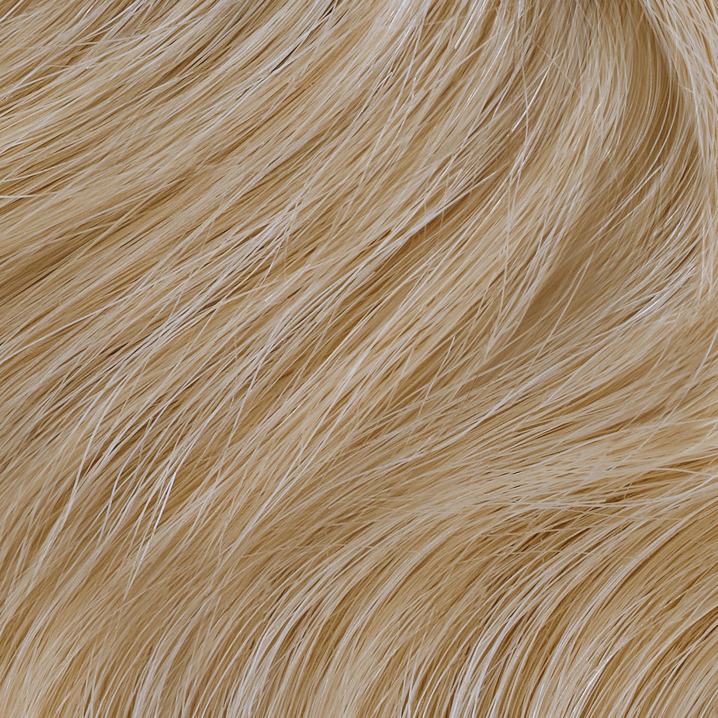 Clairol Professional Permanent Liquicolor, 10GN Lightest Gold Neutral Blonde, 2 Fl Oz - Packaging May Vary