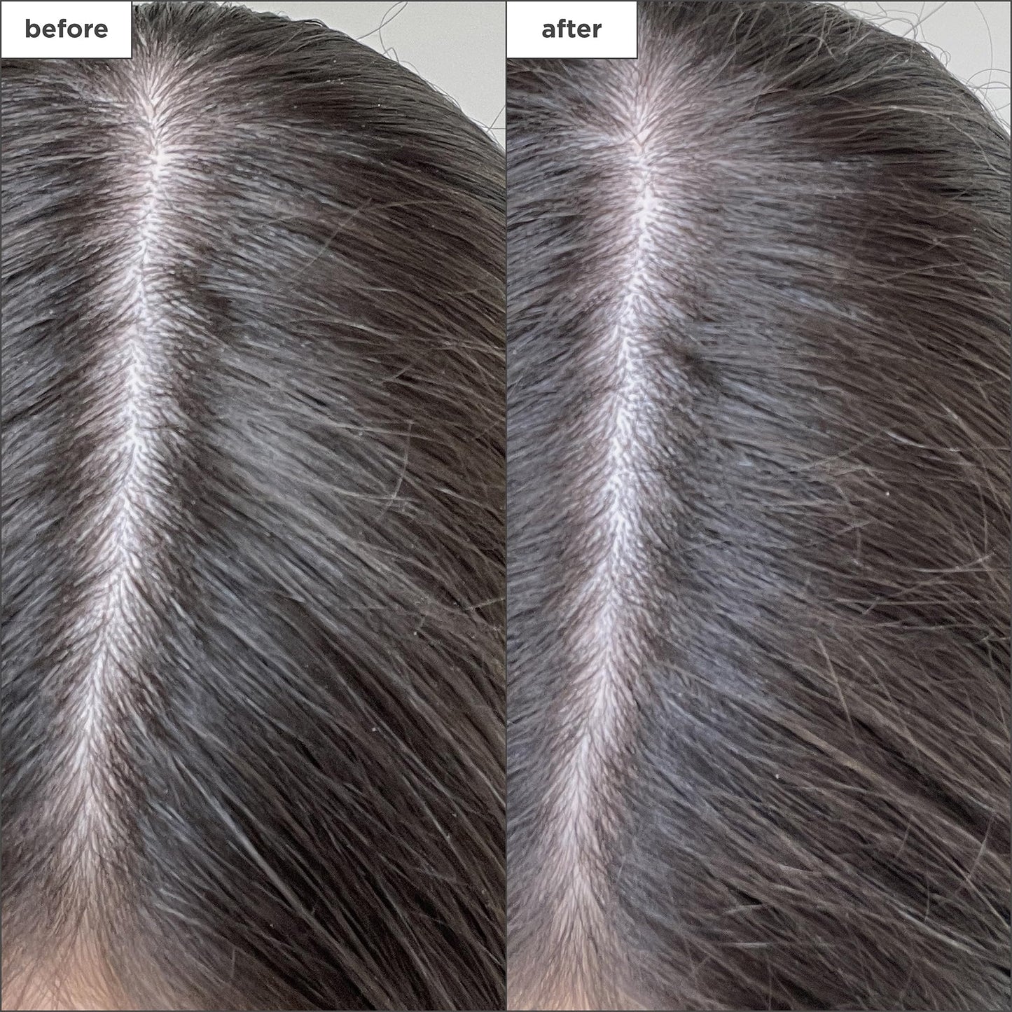 Briogeo Scalp Revival Charcoal + Biotin Dry Shampoo | Non-Aerosol Powder for Oily Roots | Detoxifying Dry Shampoo for All Hair Types | Vegan & Cruelty Free | 1.7 oz.