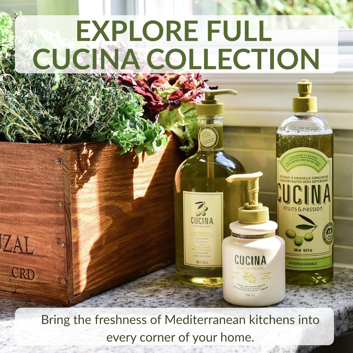 Cucina Fruits & Passion Hand Soap Refill, Coriander & Olive Tree, 1 L (33.8 fl oz), Liquid Hand Soap with Moisturizing Olive Oil, Biodegradable, Vegan Formula, Kitchen & Bathroom
