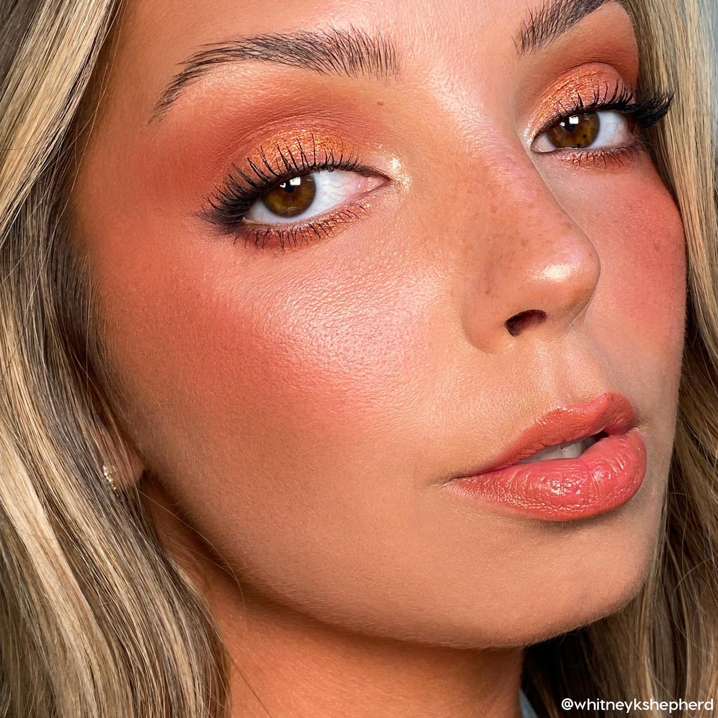 ColourPop Rock On Eyeshadow Palette - Warm, Earthy Terracotta Palette with Metallic and Matte Finishes - High-Pigment Eye Makeup with a Long-Wearing Formula (0.3 oz)