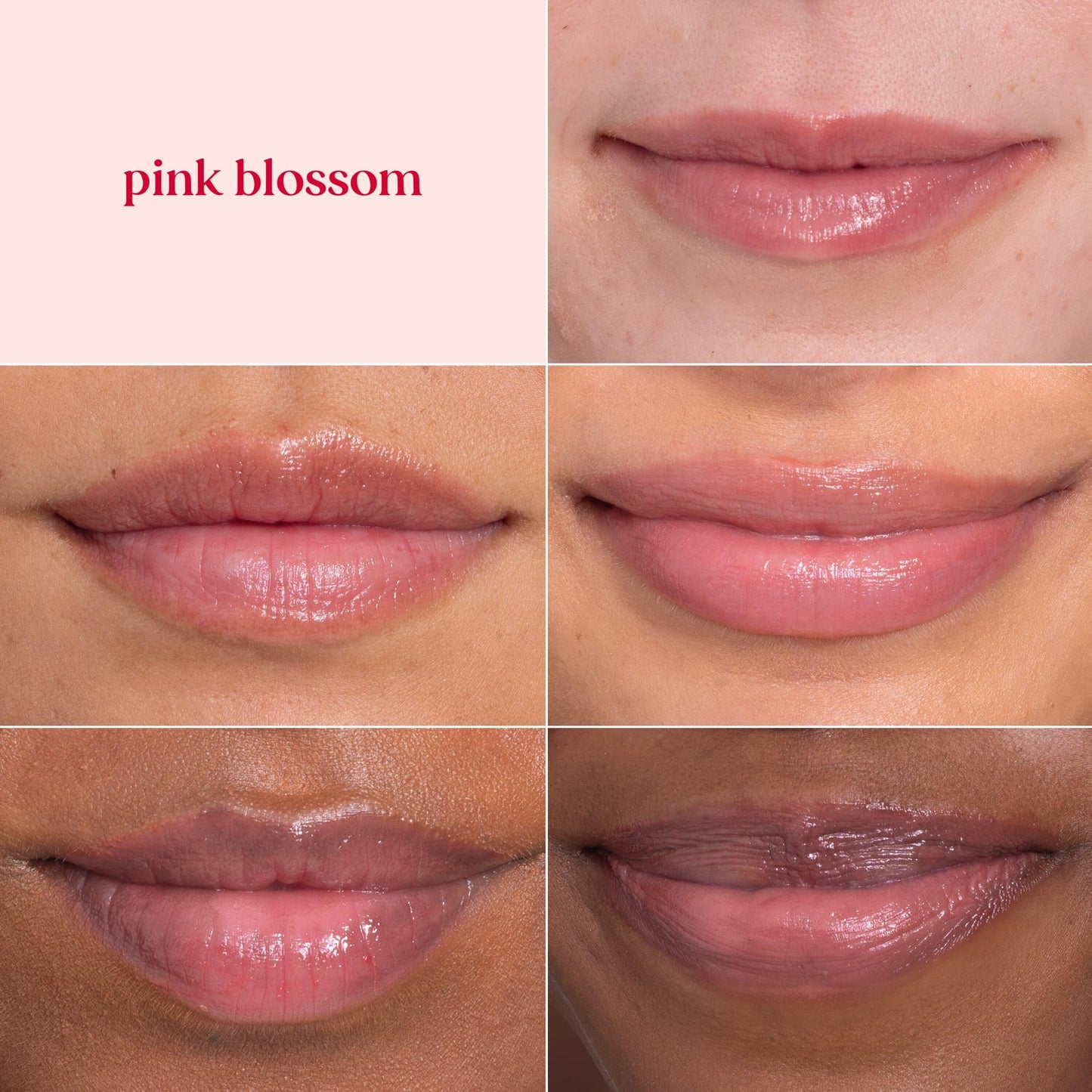 Burt's Bees Lip Tint Balm, Mothers Day Gifts, with Long Lasting 2 in 1 Duo Tinted Balm Formula, Color Infused with Deeply Hydrating Shea Butter for a Natural Buildable Finish, Pink Blossom (2-Pack)