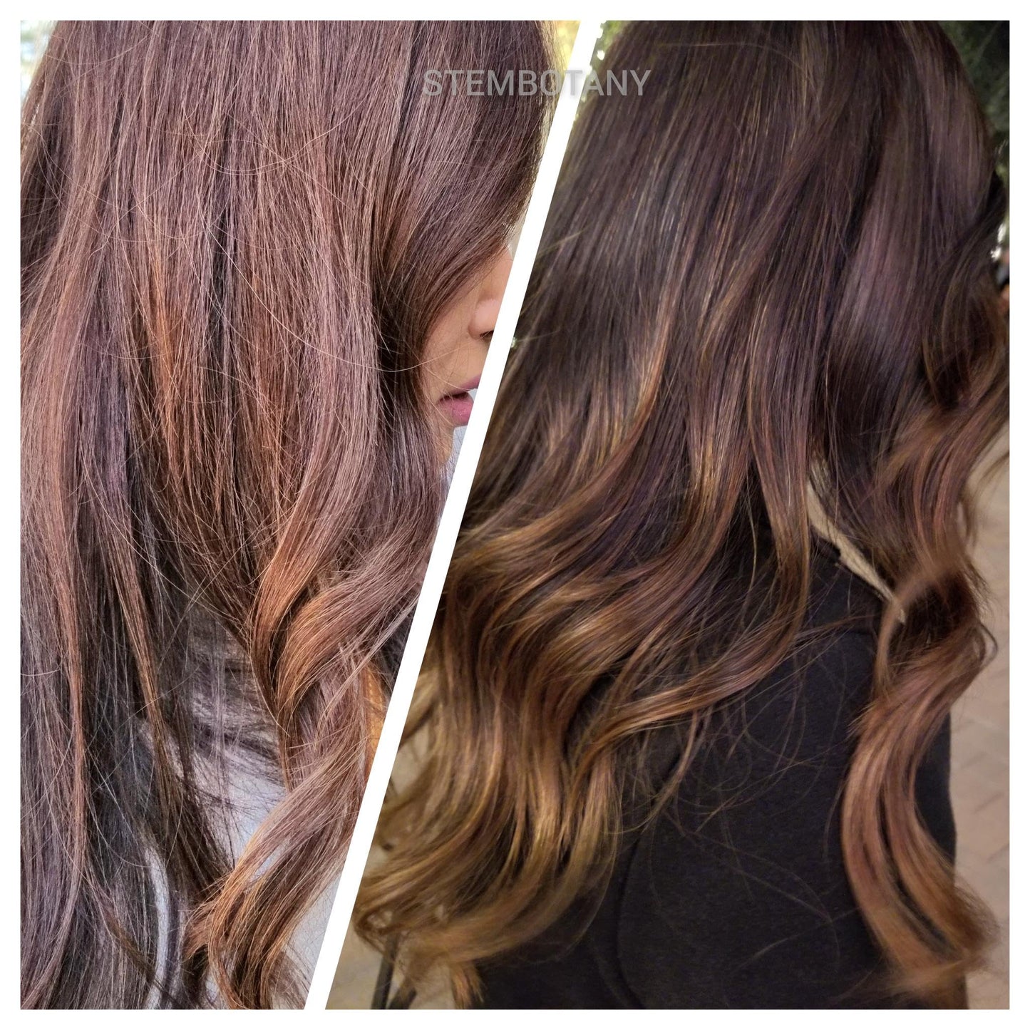 Stem Cell Shampoo for Fine and Thinning-Looking Hair — Super Glossy, Color-Safe, Natural Formula with Caffeine, Peptides, and Plant Stem Cells
