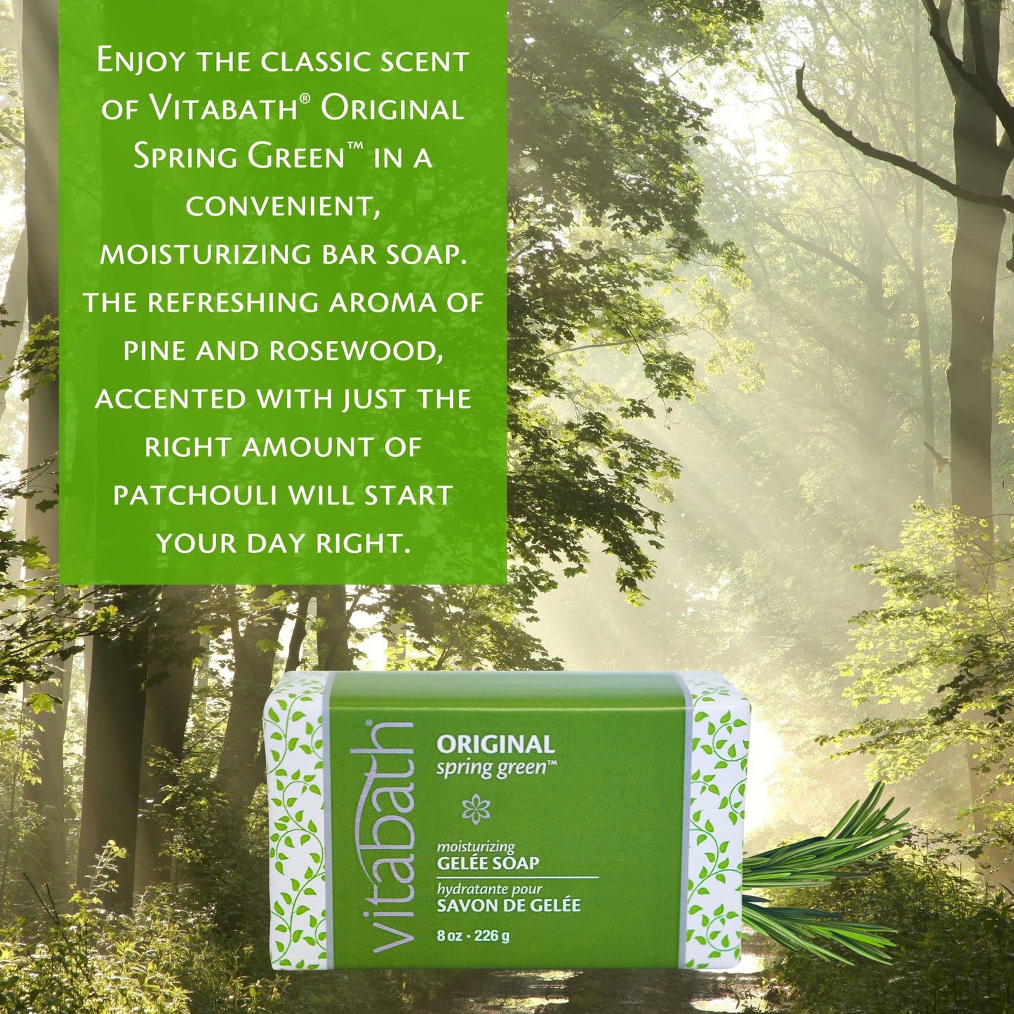 Vitabath Original Spring Green Moisturizing Gelee Bar Soap All Over Gentle Foaming Cleanser & Hydrating Solid Body Wash - Nourish & Rejuvenate All Skin Types Women & Men - 8oz (Pack of 3)