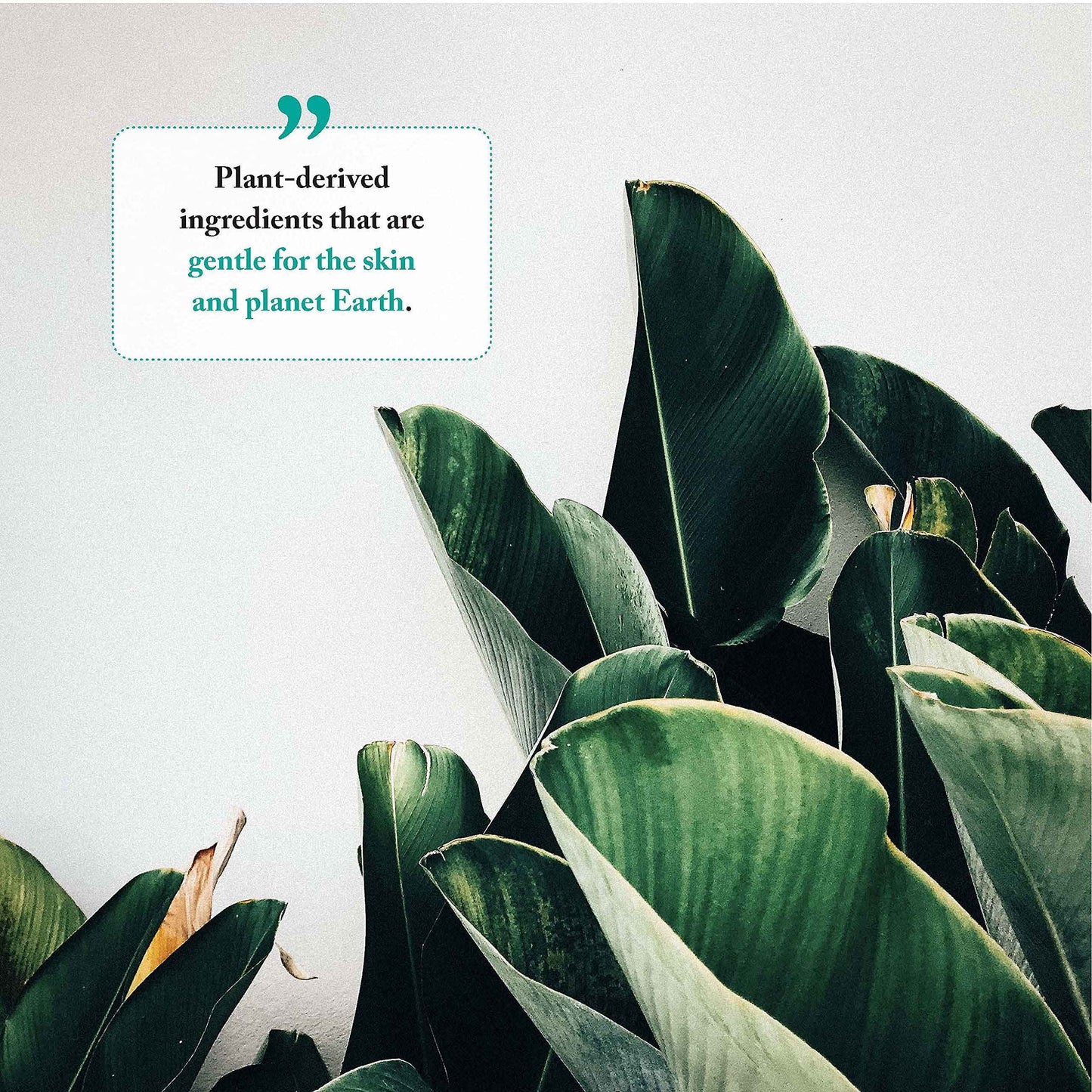 Foaming Hand Soap - Aromatic and Nourishing Hand Wash, Infused with Essential Oils - USDA Certified Biobased - 11.5 Ounce, Eucalyptus Lavender, 2 Pack