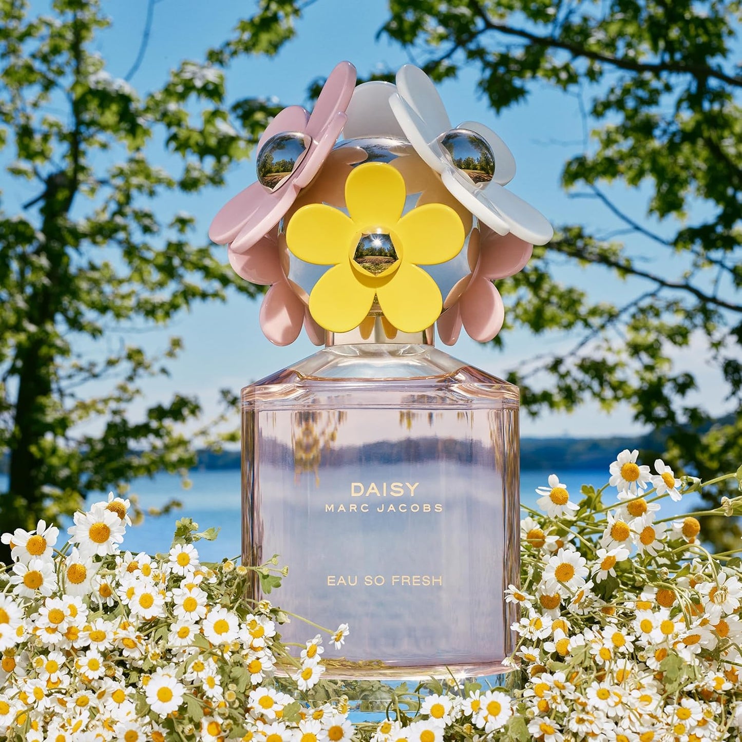 Marc Jacobs Daisy Eau So Fresh Perfume - Fresh Floral Women's Fragrance with Raspberry, Wild Rose & Grapefruit | 3.4 oz