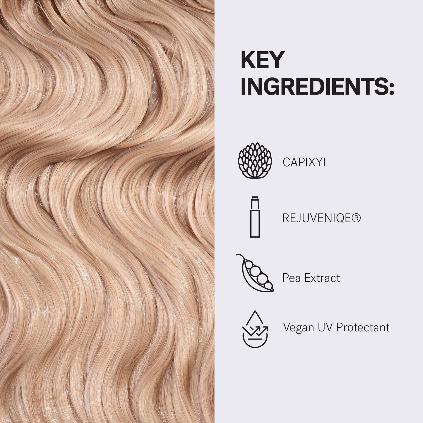 MONAT Volumizing Revive Shampoo Infused w/Rejuveniqe – Weightless Shampoo for Fine, Flat Hair – Amplifies Volume, Adds Softness, Shine – Cleanses and Protects with UV Defense – Net Wt 237ml (8 fl oz)