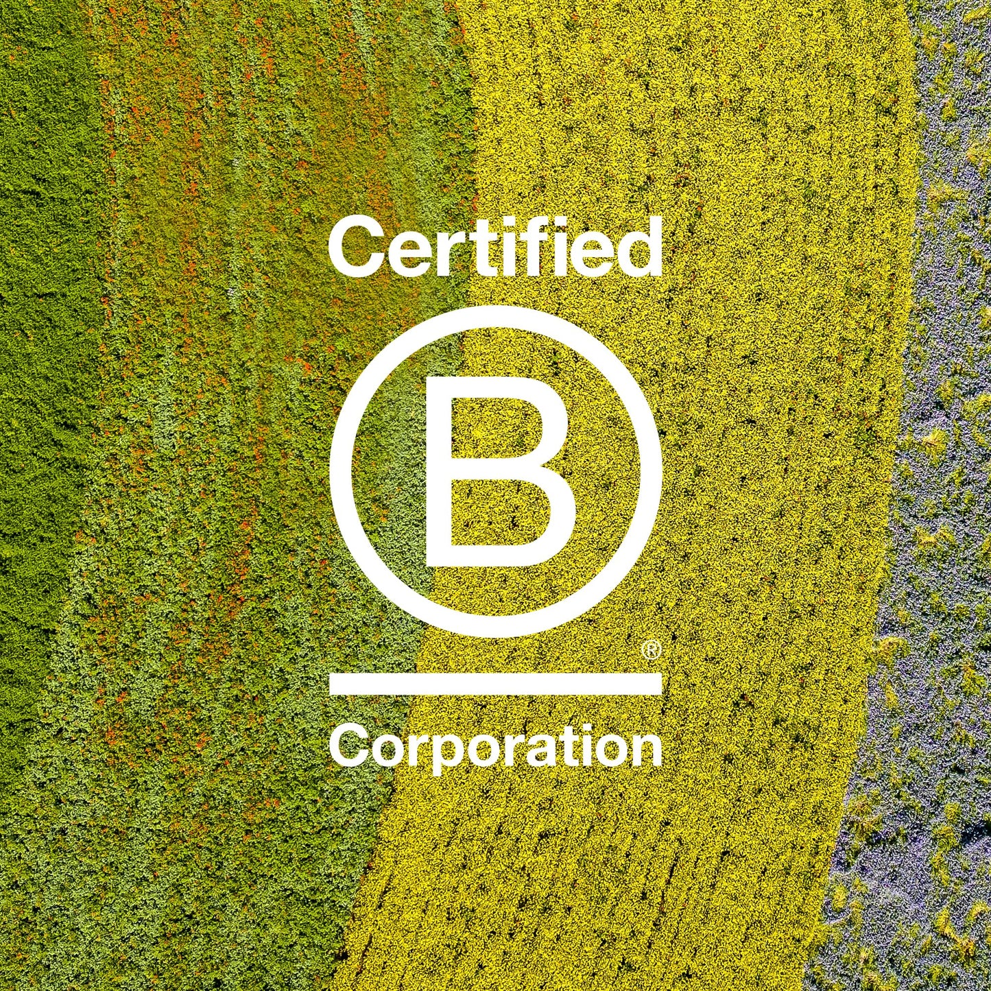 Davines Solu Sea Salt Scrub Cleanser, 3.57 Ounce (Pack of 1)