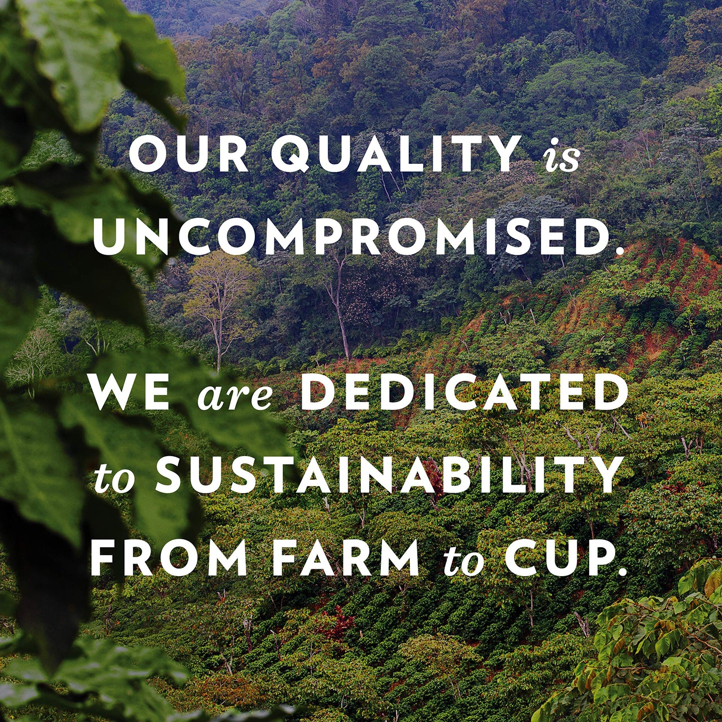 Community Coffee Pecan Praline Flavored 12 Ounce, Medium Roast Ground, 12 Ounce (Pack of 1)